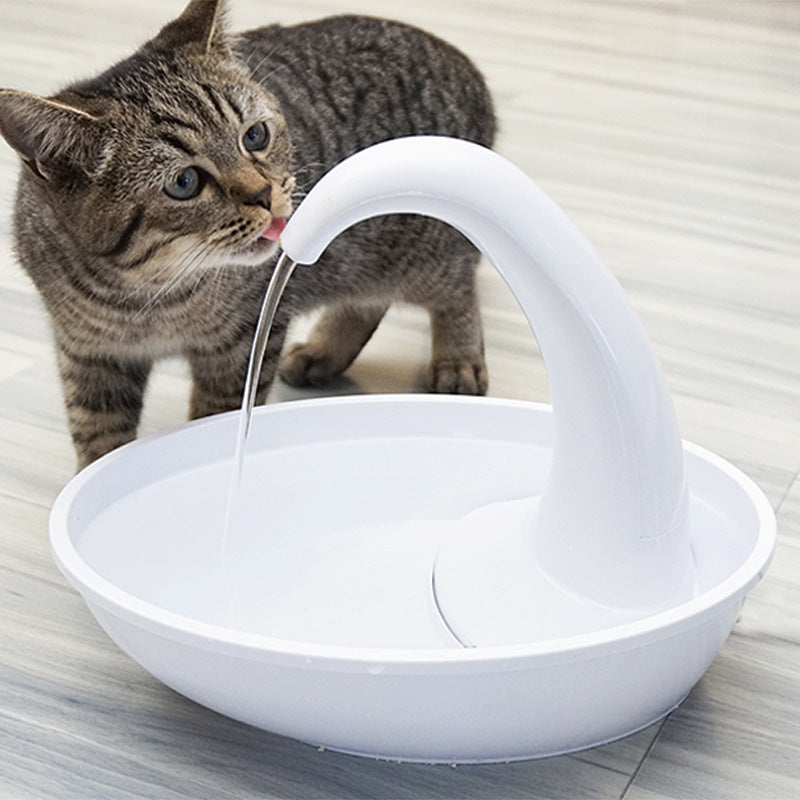 Watering Tools
