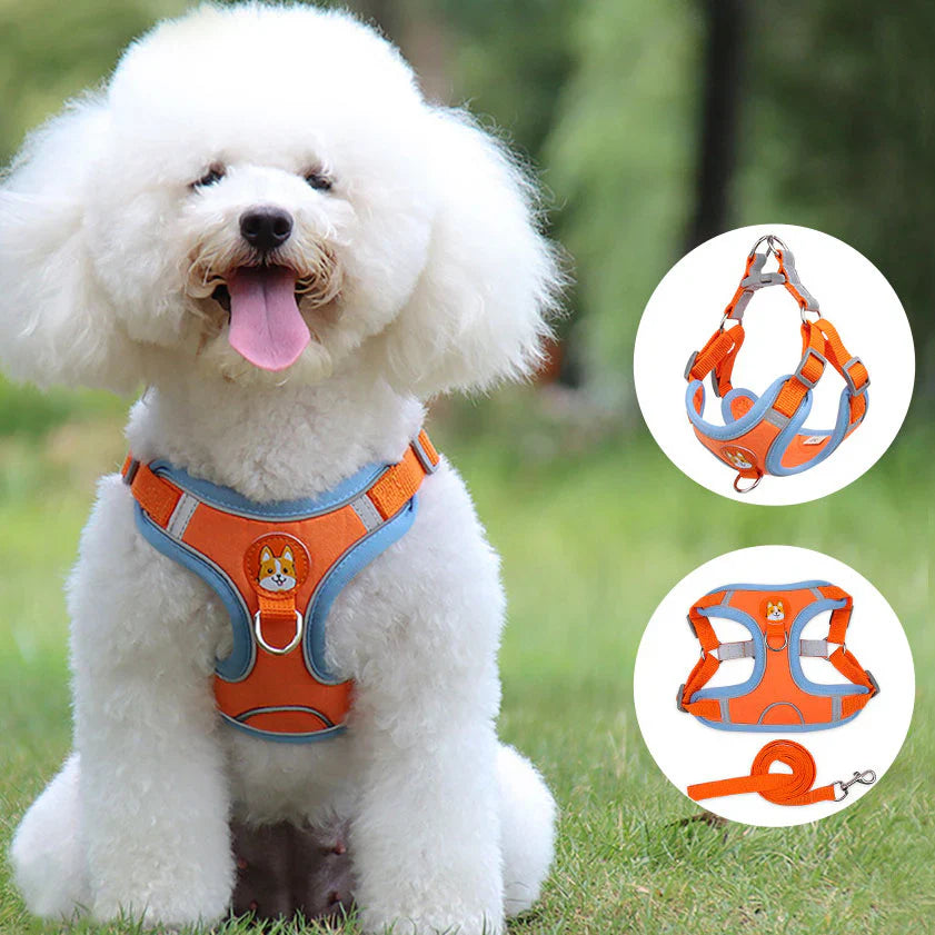 Harnesses