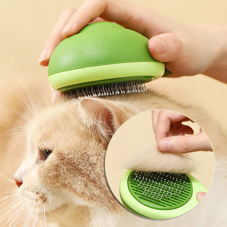 Grooming